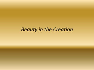 Beauty in the Creation 