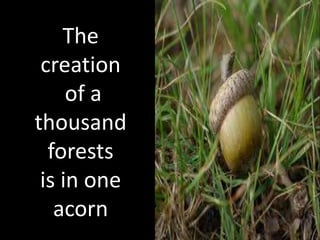 The
 creation
     of a
thousand
  forests
 is in one
   acorn
 