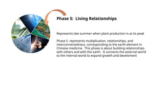 Phase 5: Living Relationships
Represents late summer when plant production is at its peak
Phase 5 represents multiplication, relationships, and
interconnectedness, corresponding to the earth element in
Chinese medicine. This phase is about building relationships
with others and with the earth. It connects the external world
to the internal world to expand growth and develoment
 
