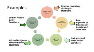 Examples:
Lights from
Heaven
Living
Relationship
s
Light and
Order
Heaven and
Earth
Cultivate a
Cause
Adrenal Fatigue or
Frequent UTIs? –
Start Here
Joint or muscle
pain?
Start here
Poor
digestion or
blood sugar
imbalances?
Start here
Toxic overload
in the body?
Start here
Heart or circulatory
challenges
Start here
 