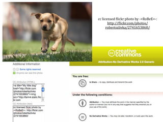 cc licensed )lickr photo by ‐=RoBeE=‐: 
       http://)lickr.com/photos/
      robertszlivka/2741653860/
 