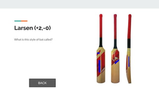 Larsen (+2,-0)
What is this style of bat called?
BACK
 