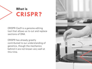 The CRISPR Controversy—The Debate Over Genetic Manipulation