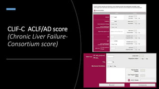 CLIF-C ACLF/AD score
(Chronic Liver Failure-
Consortium score)
 