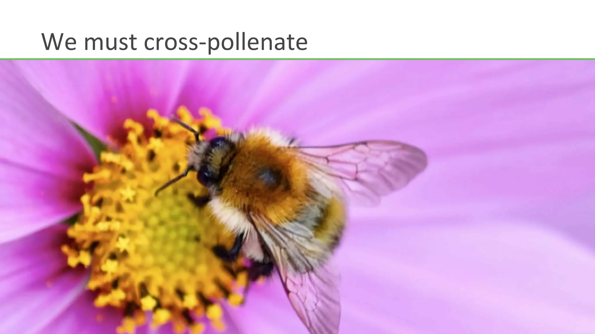 We	
  must	
  cross-­‐pollenate	
  
 