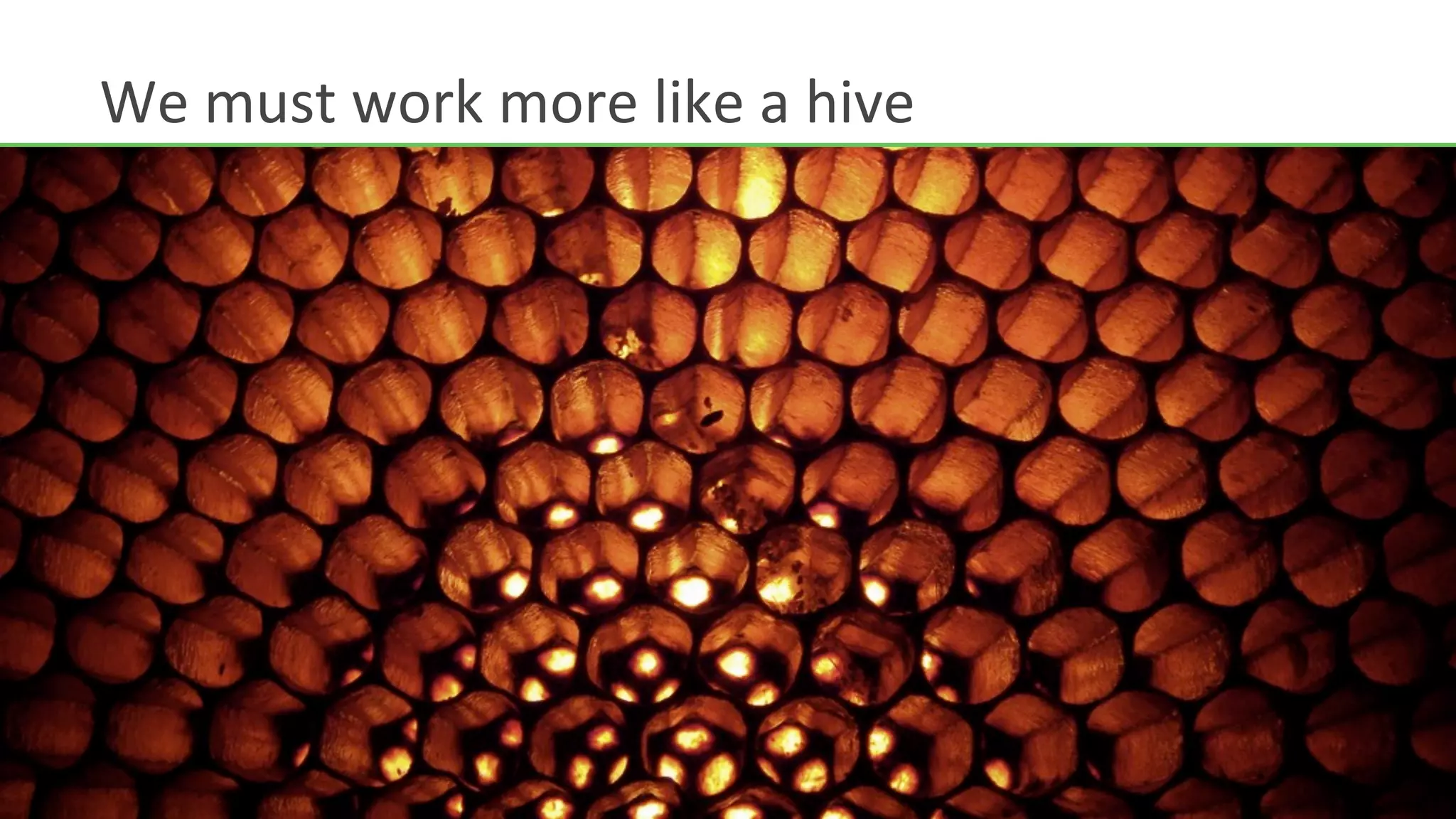 We	
  must	
  work	
  more	
  like	
  a	
  hive	
  
 