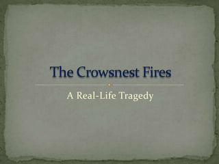 A Real-Life Tragedy The Crowsnest Fires 