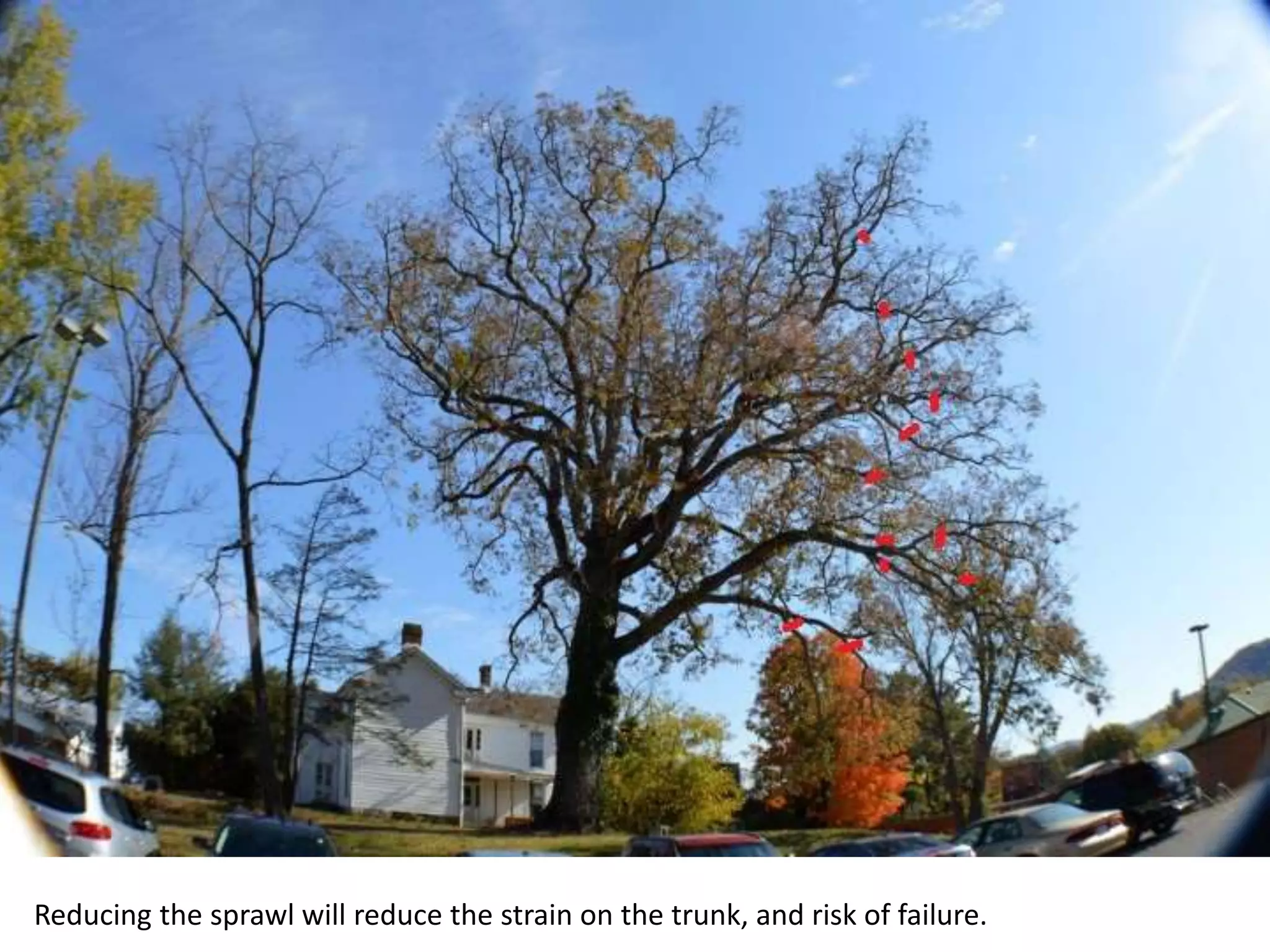 Reducing the sprawl will reduce the strain on the trunk, and risk of failure.
 