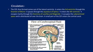 THE CSF seminar s.r.chauhan.pptx