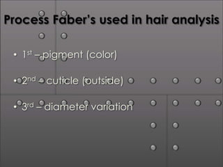 Process Faber’s used in hair analysis

 • 1st – pigment (color)

 • 2nd – cuticle (outside)

 • 3rd – diameter variation
 