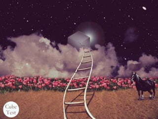 The Cube Personality Test Questions