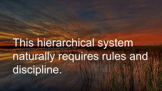 This hierarchical system
naturally requires rules and
discipline.
 
