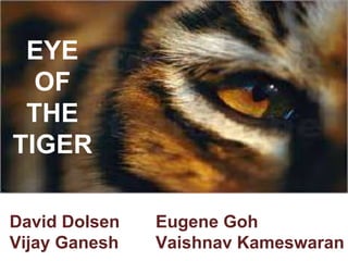 EYE 
OF 
THE 
TIGER 
David Dolsen 
Vijay Ganesh 
Eugene Goh 
Vaishnav Kameswaran 
 