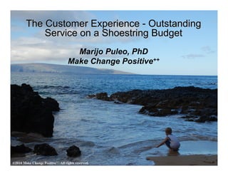 The Customer Experience - Outstanding
            Service on a Shoestring Budget
                                     Marijo Puleo, PhD
                                   Make Change Positive++




©2010 Make Change Positive++ All rights reserved.
 