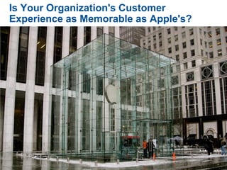 Is Your Organization's Customer
Experience as Memorable as Apple's?
 