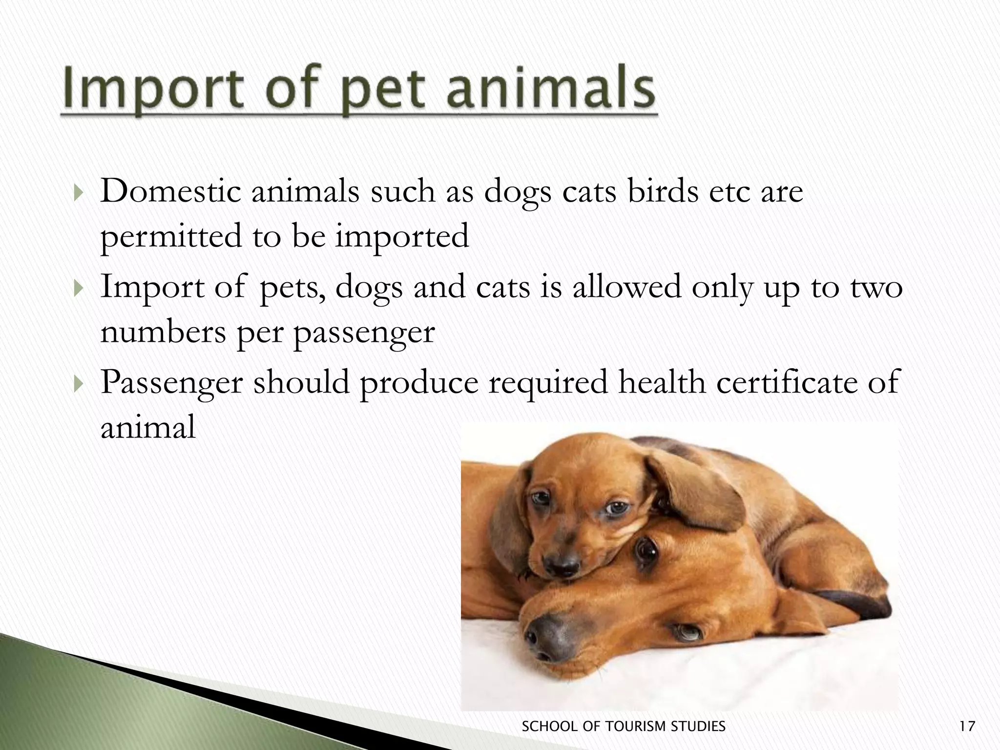  Domestic animals such as dogs cats birds etc are
permitted to be imported
 Import of pets, dogs and cats is allowed only up to two
numbers per passenger
 Passenger should produce required health certificate of
animal
SCHOOL OF TOURISM STUDIES 17
 