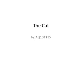 The Cut by AQ101175 