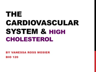 THE
CARDIOVASCULAR
SYSTEM & HIGH
CHOLESTEROL

BY VANESSA ROSS MOSIER
BIO 120
 