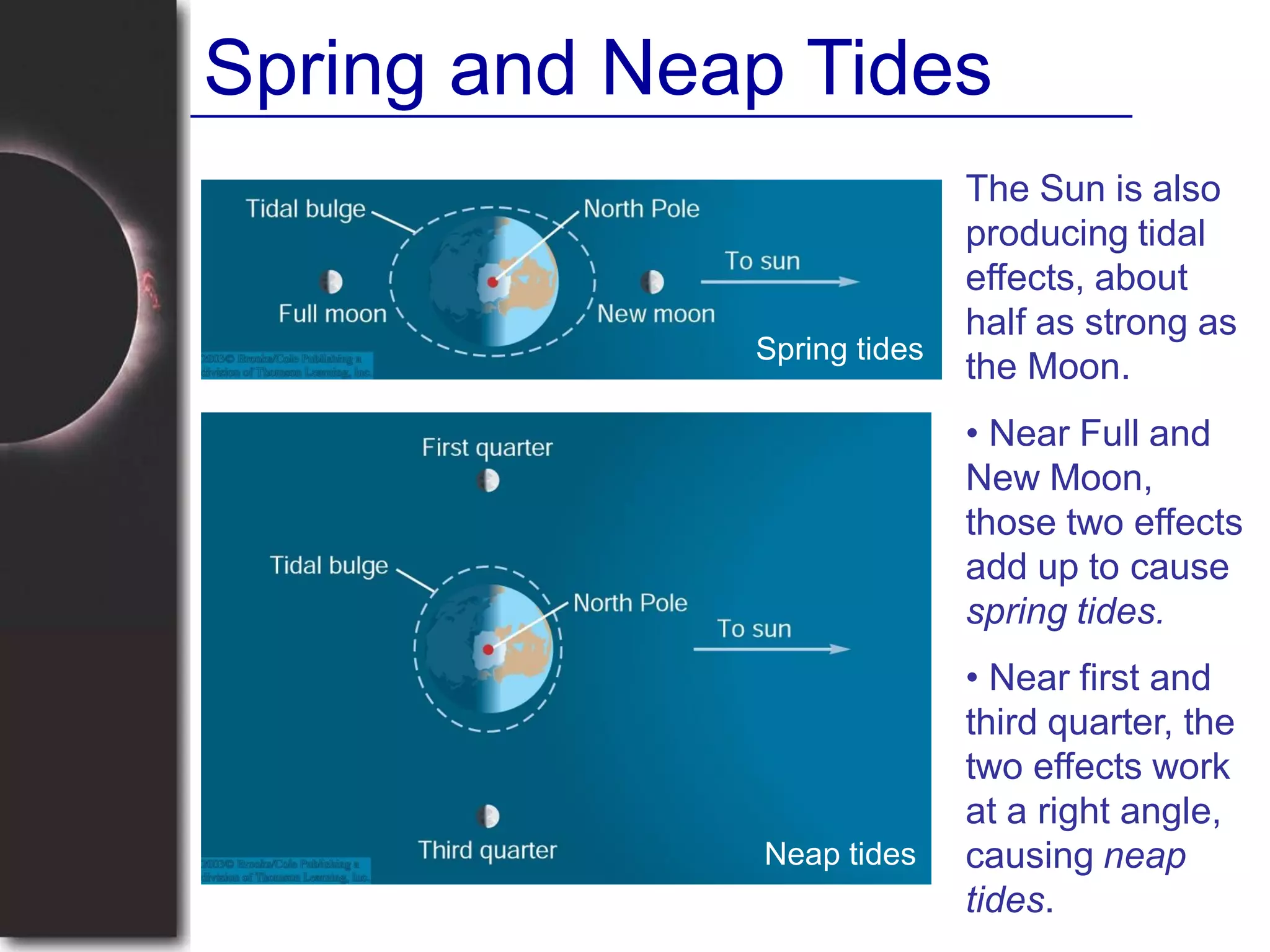Spring and Neap Tides
The Sun is also
producing tidal
effects, about
half as strong as
the Moon.
• Near Full and
New Moon,
those two effects
add up to cause
spring tides.
• Near first and
third quarter, the
two effects work
at a right angle,
causing neap
tides.
Spring tides
Neap tides
 