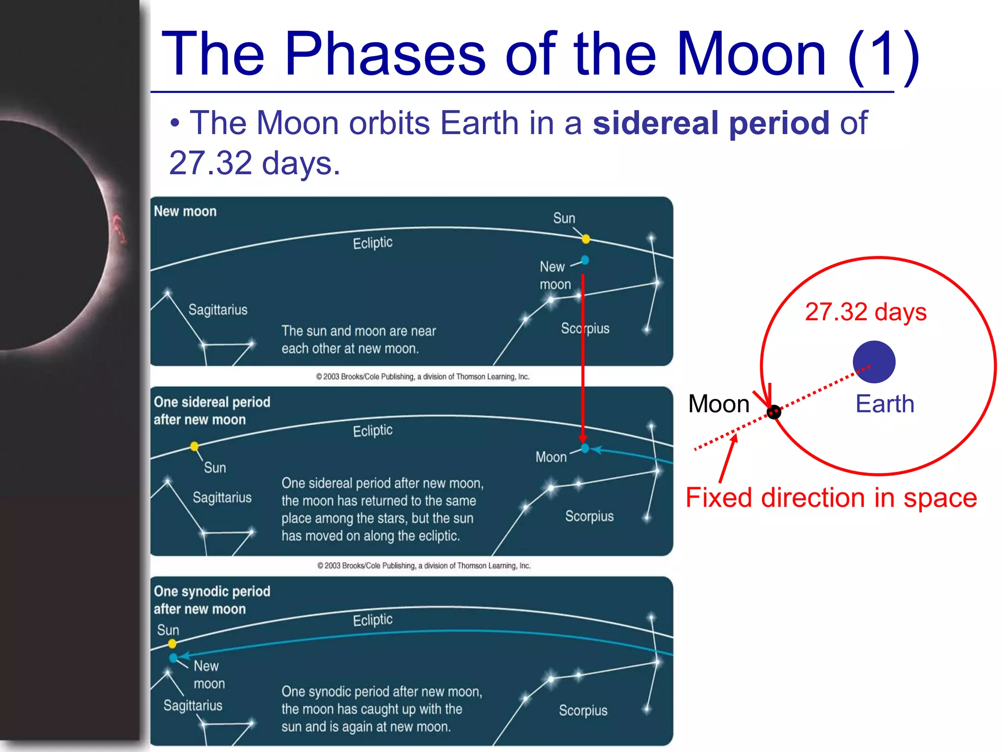 The Phases of the Moon (1)
• The Moon orbits Earth in a sidereal period of
27.32 days.
27.32 days
EarthMoon
Fixed direction in space
 