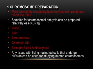 1.CHROMOSOME PREPARATION
• Most commonly circulating lymphocytes from peripheral
blood are used.
• Samples for chromosomal analysis can be prepared
relatively easily using.
• Blood.
• Skin.
• Bone marrow.
• Chorionic villi.
• Amniotic fluid.( Aminiocytes)
• Any tissue with living nucleated cells that undergo
division can be used for studying human chromosomes.
 