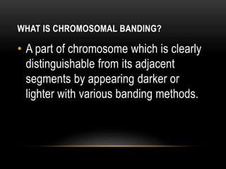 WHAT IS CHROMOSOMAL BANDING?
• A part of chromosome which is clearly
distinguishable from its adjacent
segments by appearing darker or
lighter with various banding methods.
 