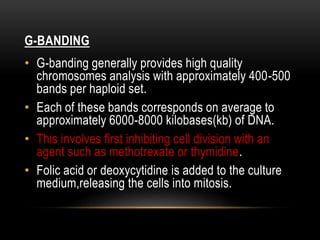 G-BANDING
• G-banding generally provides high quality
chromosomes analysis with approximately 400-500
bands per haploid set.
• Each of these bands corresponds on average to
approximately 6000-8000 kilobases(kb) of DNA.
• This involves first inhibiting cell division with an
agent such as methotrexate or thymidine.
• Folic acid or deoxycytidine is added to the culture
medium,releasing the cells into mitosis.
 