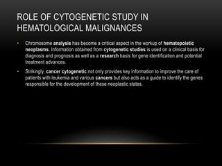 ROLE OF CYTOGENETIC STUDY IN
HEMATOLOGICAL MALIGNANCES
• Chromosome analysis has become a critical aspect in the workup of hematopoietic
neoplasms. Information obtained from cytogenetic studies is used on a clinical basis for
diagnosis and prognosis as well as a research basis for gene identification and potential
treatment advances.
• Strikingly, cancer cytogenetic not only provides key information to improve the care of
patients with leukemia and various cancers but also acts as a guide to identify the genes
responsible for the development of these neoplastic states.
 