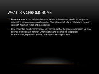 WHAT IS A CHROMOSOME
• Chromosomes are thread-like structures present in the nucleus, which carries genetic
information from one generation to another. They play a vital role in cell division, heredity,
variation, mutation, repair and regeneration.
• DNA present on the chromosome not only carries most of the genetic information but also
controls the hereditary transfer. Chromosomes are essential for the process
of cell division, replication, division, and creation of daughter cells.
 