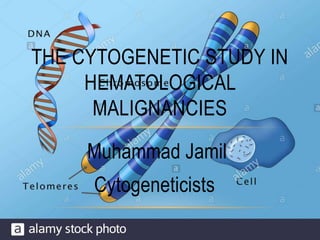Muhammad Jamil
Cytogeneticists
THE CYTOGENETIC STUDY IN
HEMATOLOGICAL
MALIGNANCIES
 