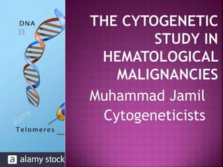 Muhammad Jamil
Cytogeneticists
 