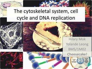 The cytoskeletal system, cell
 cycle and DNA replication


                         Hilary Mok
                       Yolande Leong
                         BMS/1M02
                        Cheesecake!
 