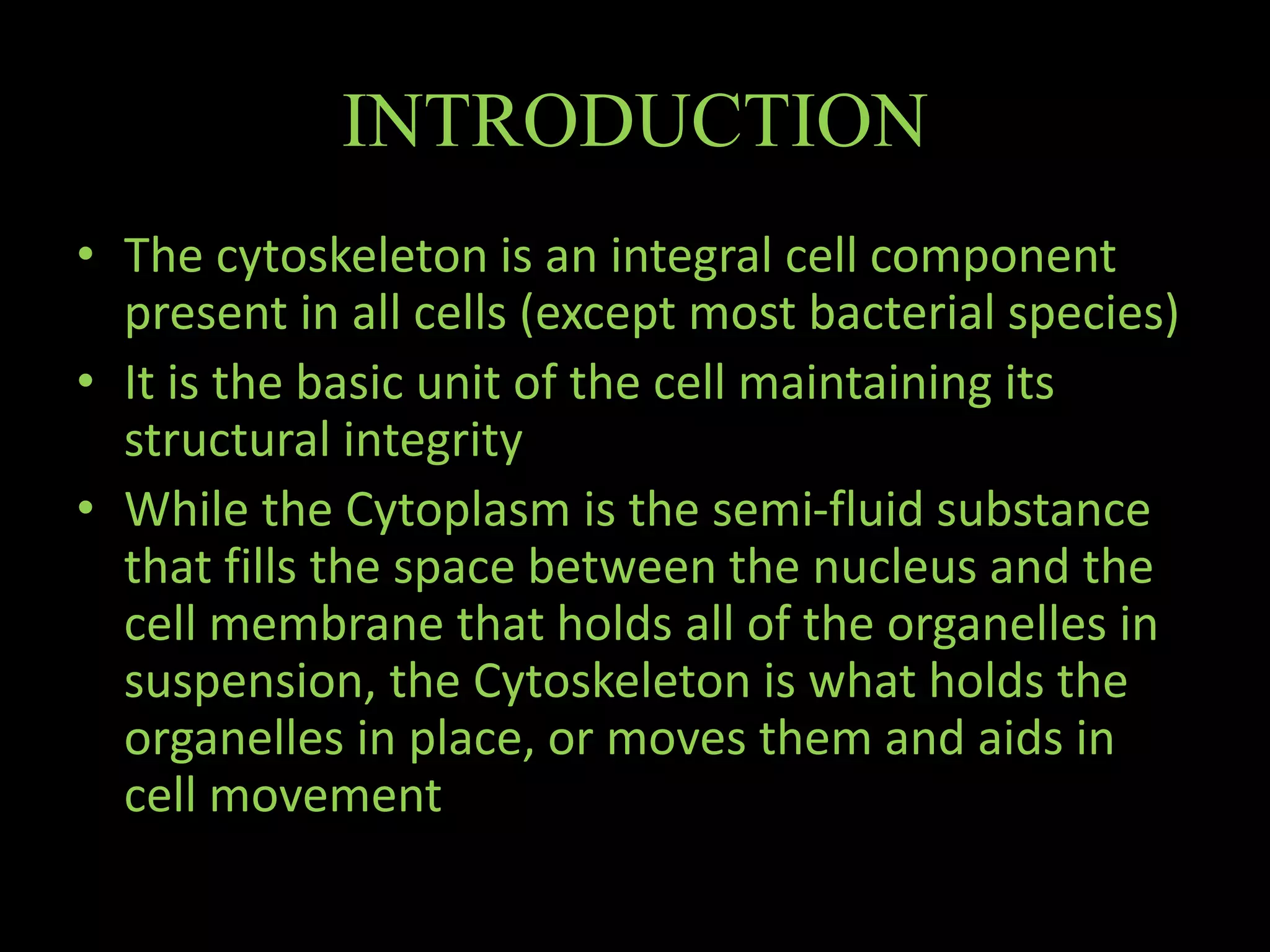 The Cytoskeleton- An overview | PPTX