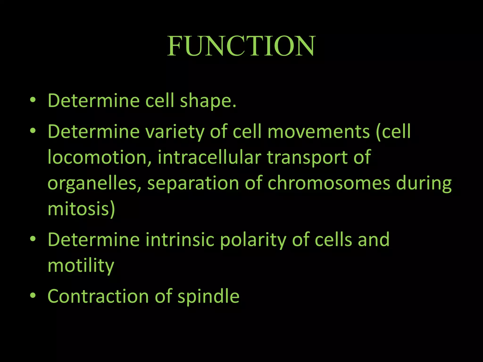 The Cytoskeleton- An overview | PPTX