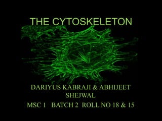 THE CYTOSKELETON 
DARIYUS KABRAJI & ABHIJEET 
SHEJWAL 
MSC 1 BATCH 2 ROLL NO 18 & 15 
 