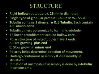 The Cytoskeleton- An overview