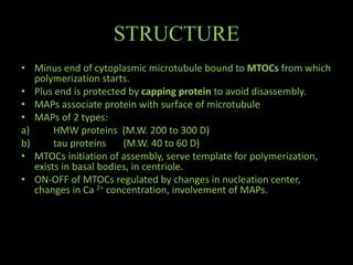 The Cytoskeleton- An overview