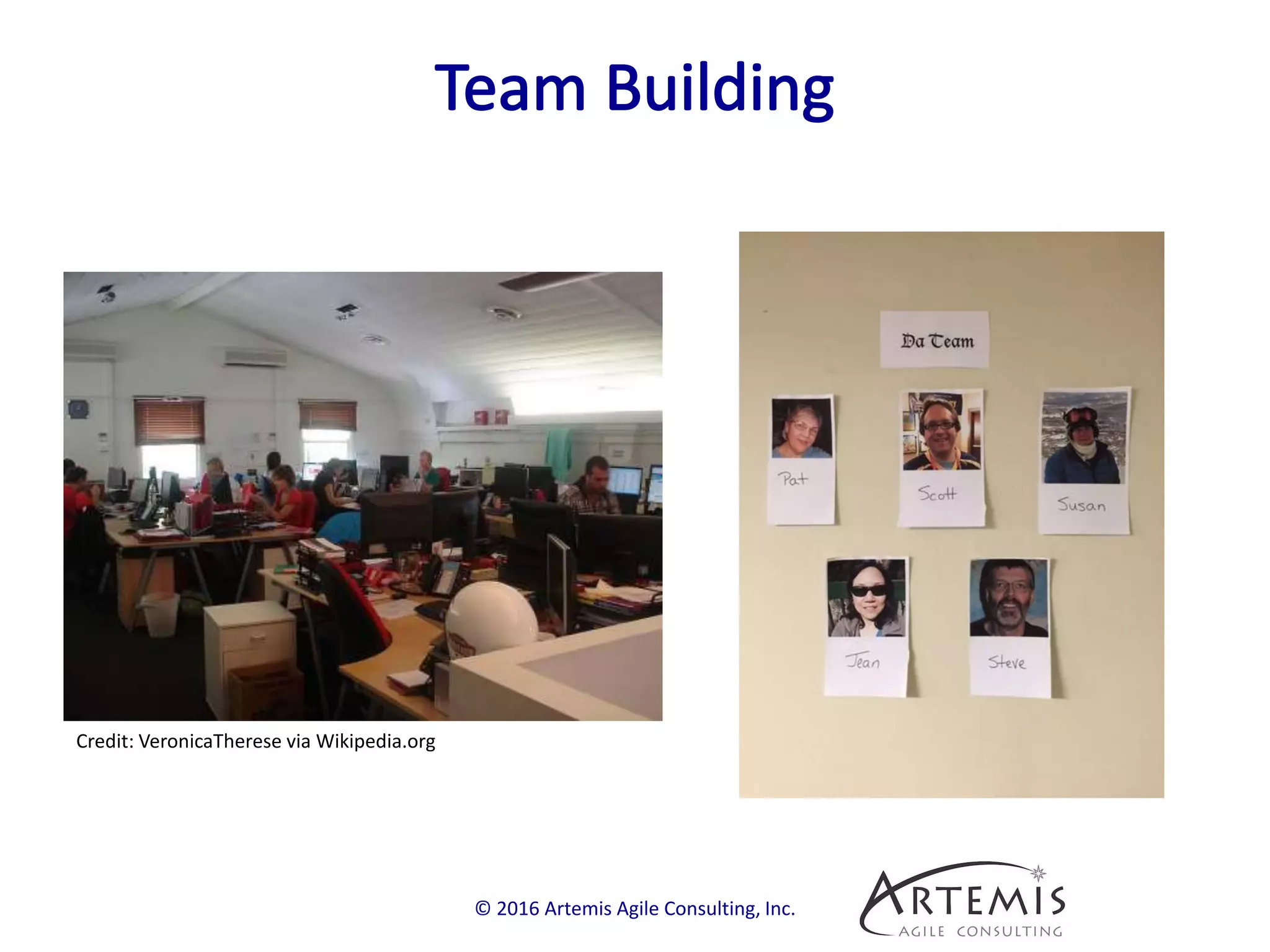 © 2016 Artemis Agile Consulting, Inc.
Credit: VeronicaTherese via Wikipedia.org
 