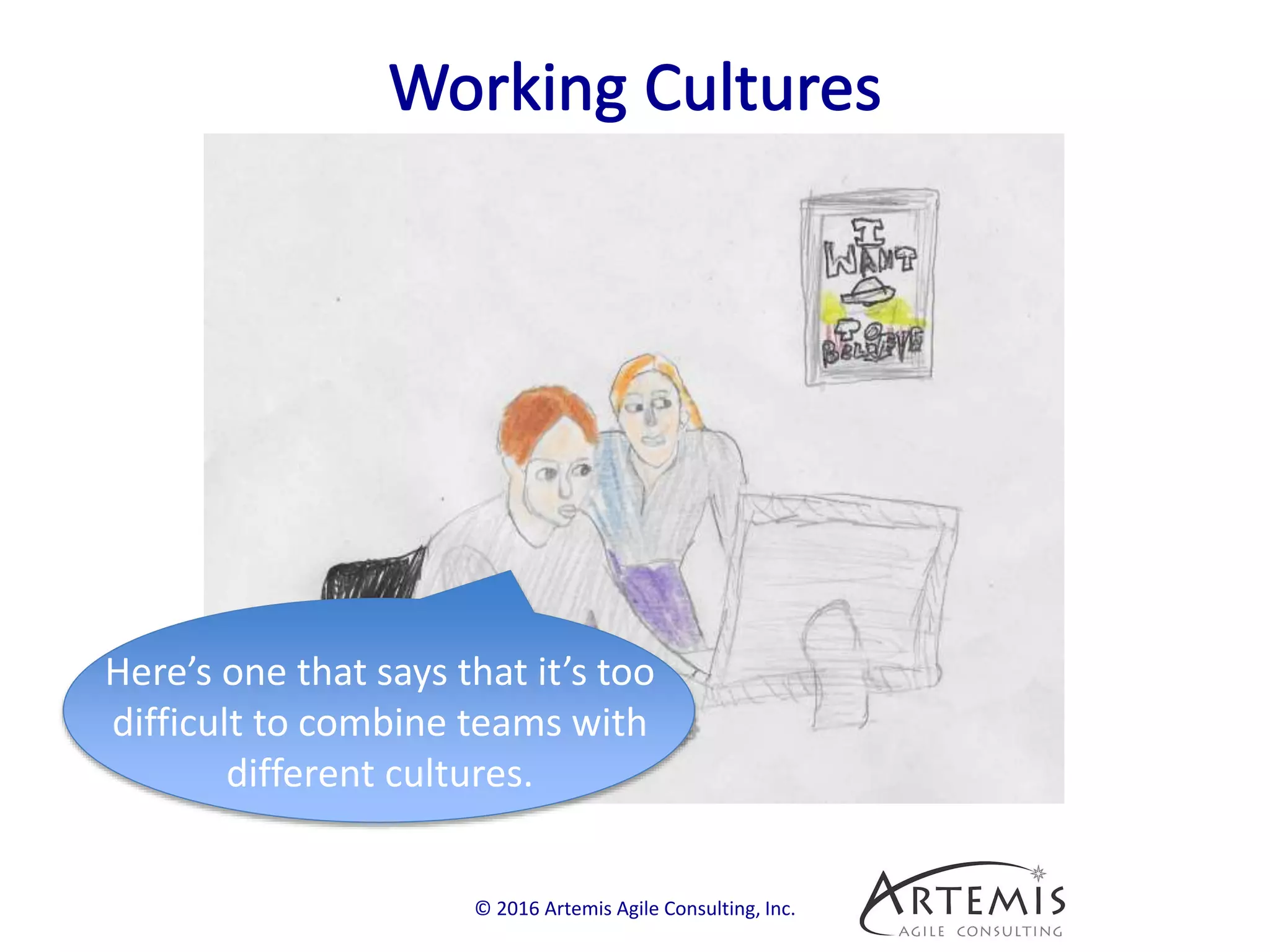 © 2016 Artemis Agile Consulting, Inc.
Here’s one that says that it’s too
difficult to combine teams with
different cultures.
 