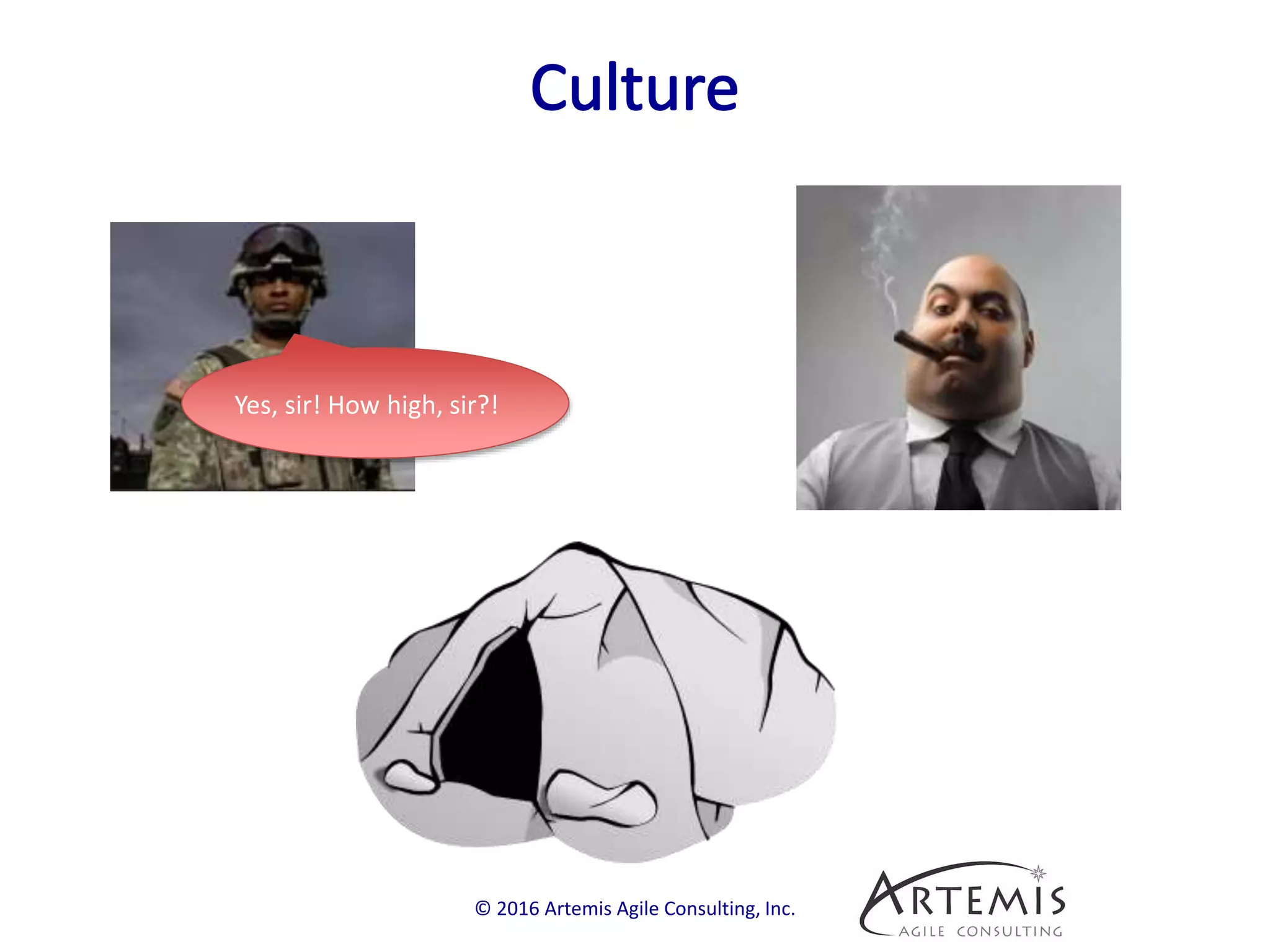 © 2016 Artemis Agile Consulting, Inc.
Yes, sir! How high, sir?!
 