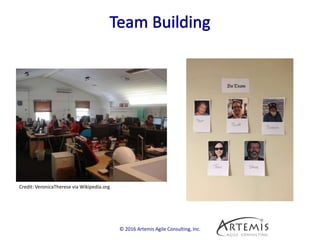 © 2016 Artemis Agile Consulting, Inc.
Credit: VeronicaTherese via Wikipedia.org
 