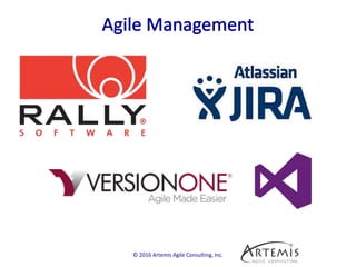 © 2016 Artemis Agile Consulting, Inc.
 