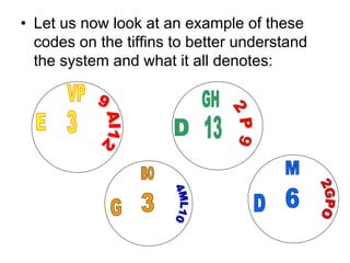 • Let us now look at an example of these
  codes on the tiffins to better understand
  the system and what it all denotes:
 