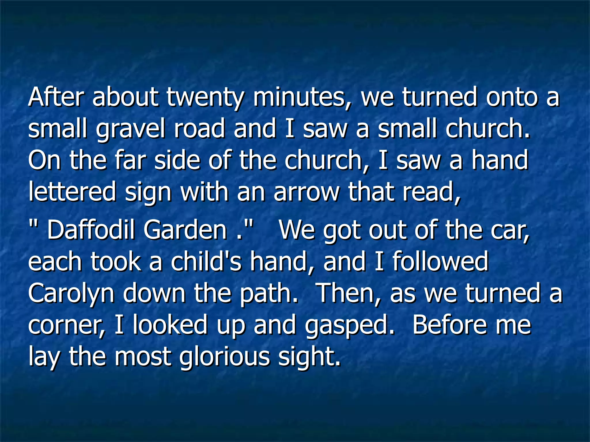 After about twenty minutes, we turned onto a small gravel road and I saw a small church. On the far side of the church, I saw a hand lettered sign with an arrow that read,  " Daffodil Garden ."   We got out of the car, each took a child's hand, and I followed Carolyn down the path.  Then, as we turned a corner, I looked up and gasped.  Before me lay the most glorious sight.  