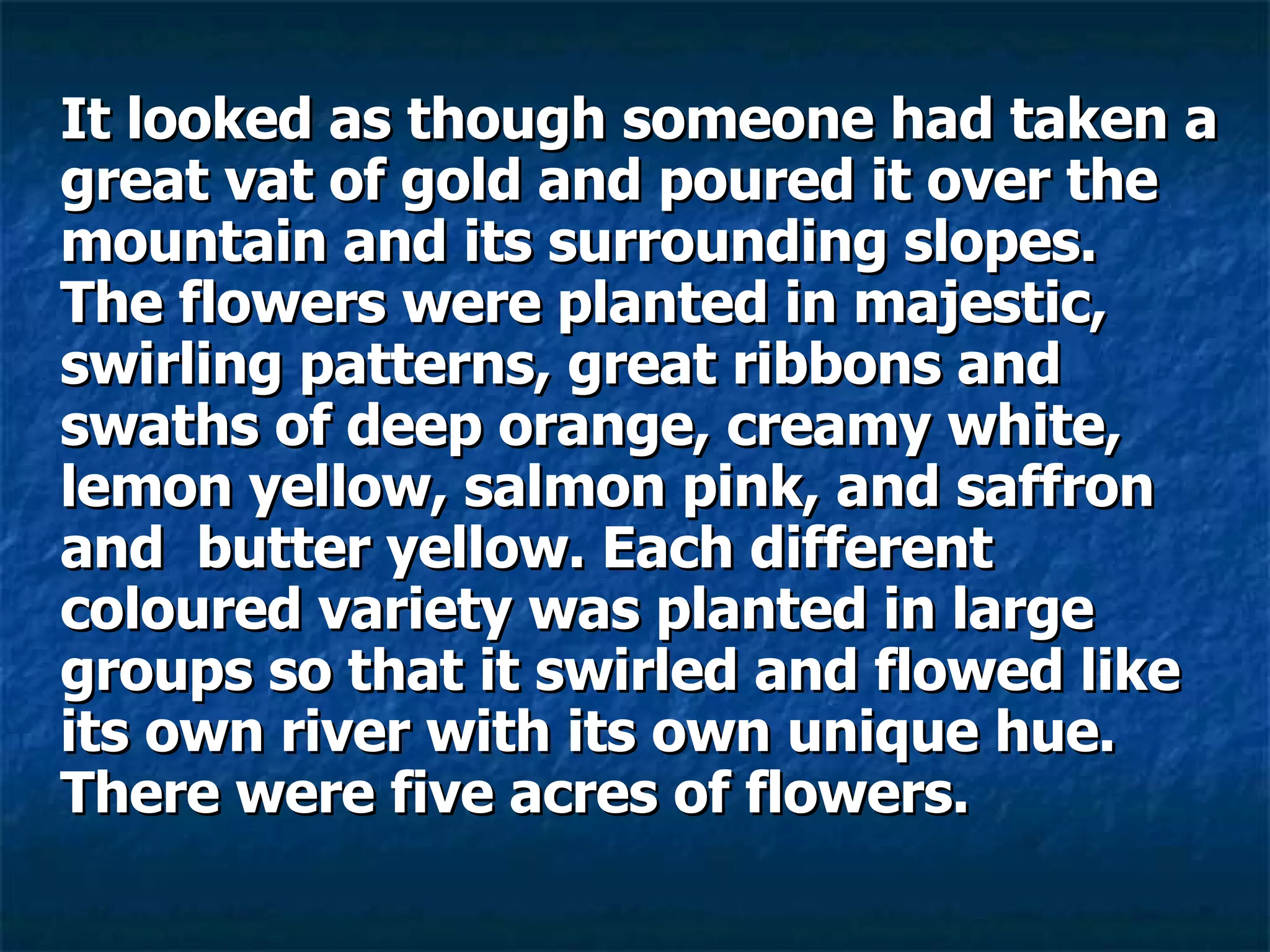 It looked as though someone had taken a great vat of gold and poured it over the mountain and its surrounding slopes.  The flowers were planted in majestic, swirling patterns, great ribbons and swaths of deep orange, creamy white, lemon yellow, salmon pink, and saffron and  butter yellow. Each different coloured variety was planted in large groups so that it swirled and flowed like its own river with its own unique hue.  There were five acres of flowers.   