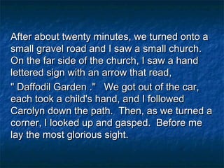 After about twenty minutes, we turned onto aAfter about twenty minutes, we turned onto a
small gravel road and I saw a small church.small gravel road and I saw a small church.
On the far side of the church, I saw a handOn the far side of the church, I saw a hand
lettered sign with an arrow that read,lettered sign with an arrow that read,
" Daffodil Garden ."   We got out of the car," Daffodil Garden ."   We got out of the car,
each took a child's hand, and I followedeach took a child's hand, and I followed
Carolyn down the path. Then, as we turned aCarolyn down the path. Then, as we turned a
corner, I looked up and gasped. Before mecorner, I looked up and gasped. Before me
lay the most glorious sight.lay the most glorious sight.
 