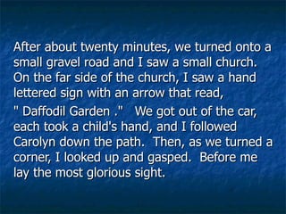 After about twenty minutes, we turned onto a small gravel road and I saw a small church. On the far side of the church, I saw a hand lettered sign with an arrow that read,  " Daffodil Garden ."   We got out of the car, each took a child's hand, and I followed Carolyn down the path.  Then, as we turned a corner, I looked up and gasped.  Before me lay the most glorious sight.  