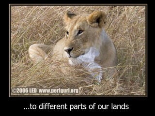 … to different parts of our lands 