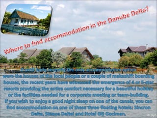 The danube delta