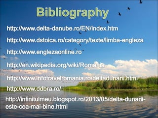 The danube delta